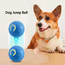 PETBOT